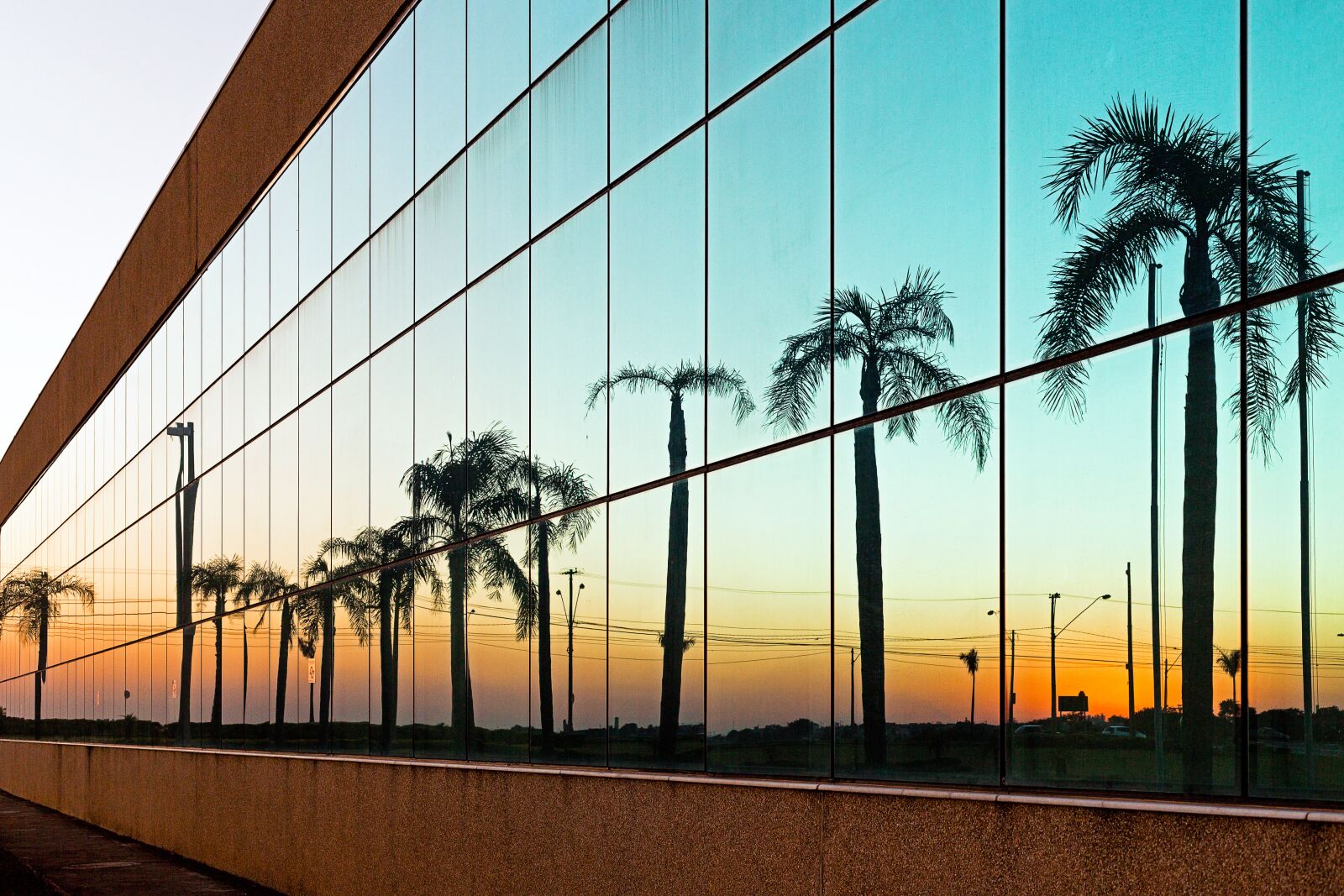 Canon EF 50mm F1.8 II sample photo. Coconut trees, mirror, hills photography