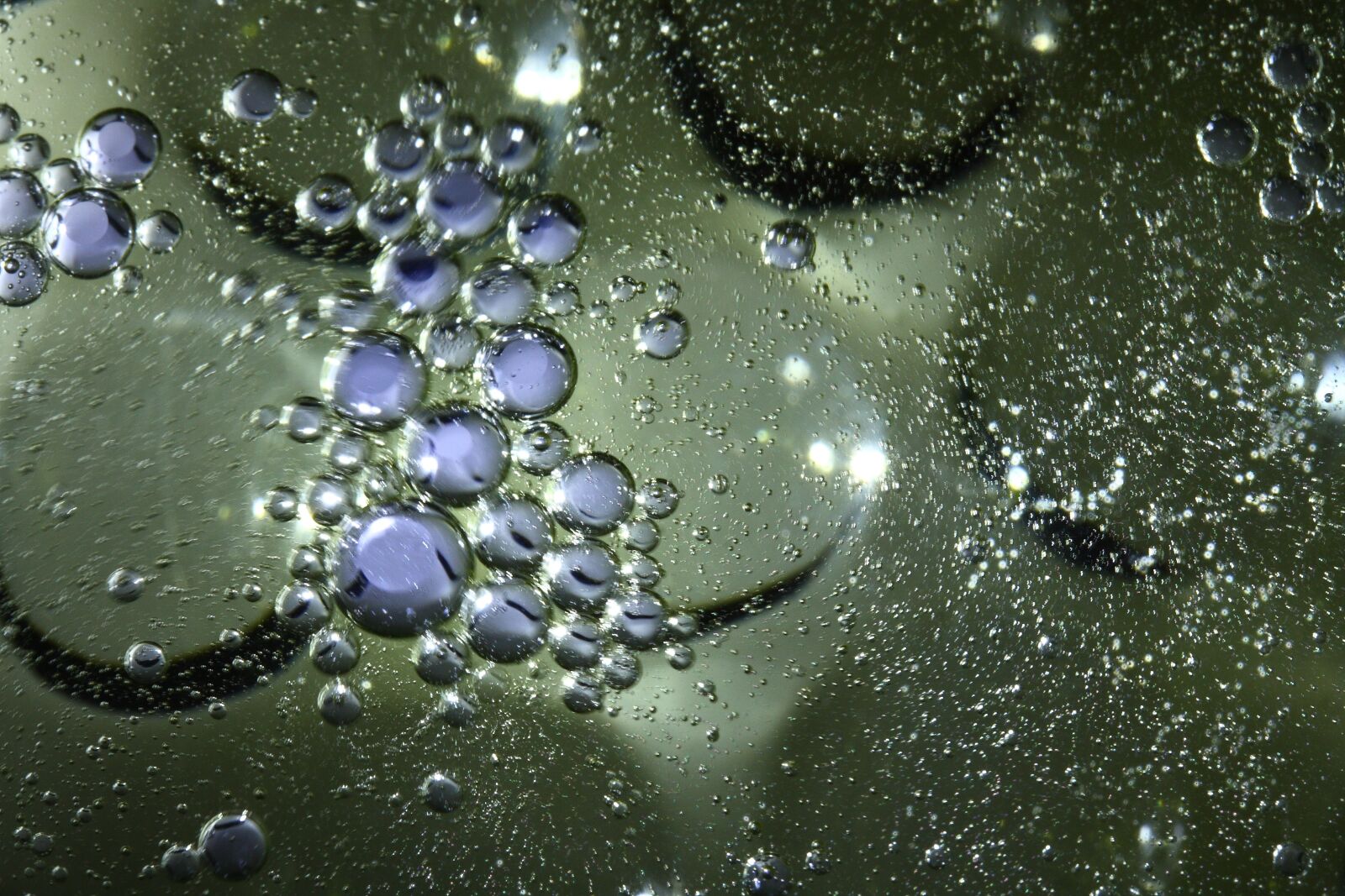Canon EOS 40D sample photo. Abstract, texture, pattern photography