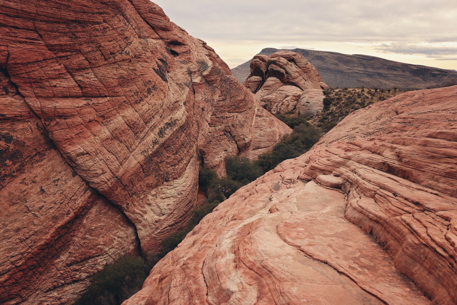 Canon EOS 70D sample photo. Red rock canyon, las photography
