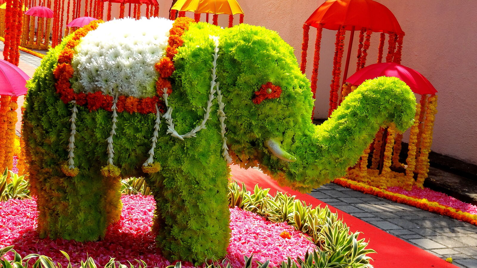 Sony Cyber-shot DSC-HX9V sample photo. The, elephant photography