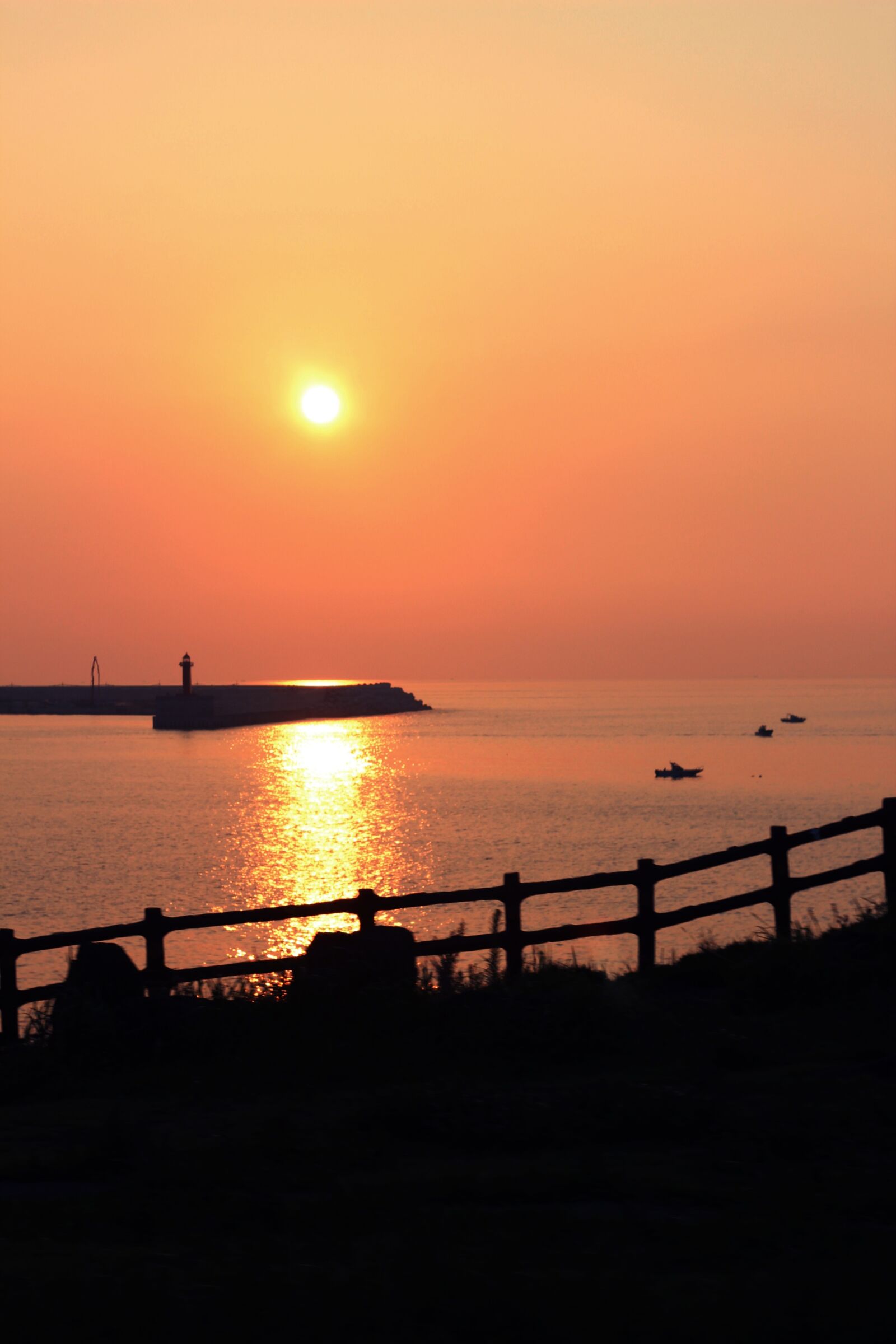Canon EOS 600D (Rebel EOS T3i / EOS Kiss X5) + Canon EF 50mm F1.8 II sample photo. Jeju island, sunset, sea photography