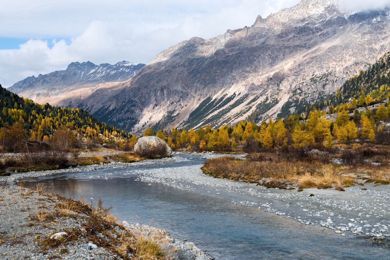 Nikon D810 sample photo. Autumn, larch, larch discoloration photography