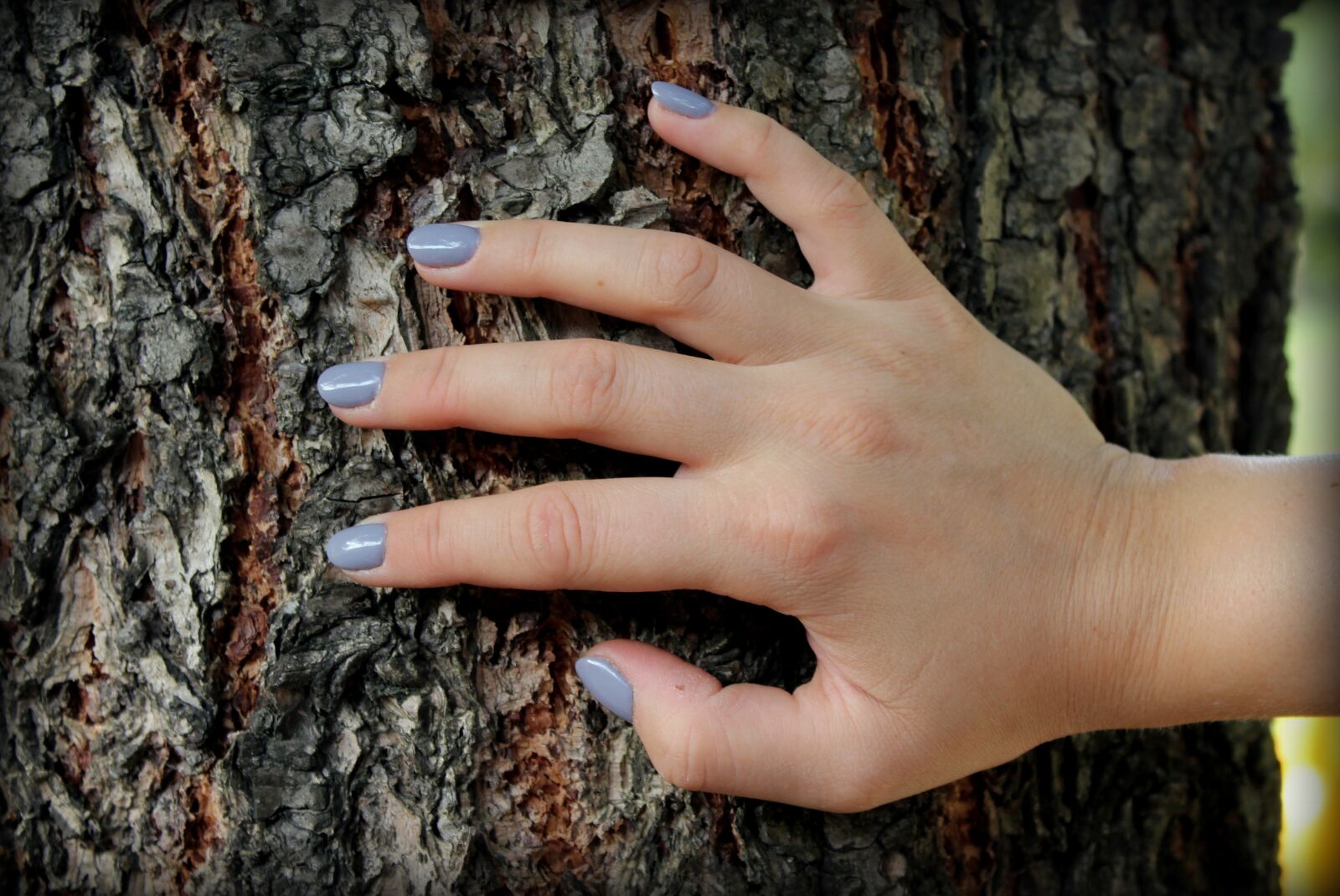 Canon EOS 1200D (EOS Rebel T5 / EOS Kiss X70 / EOS Hi) sample photo. Hand, the hand, nails photography