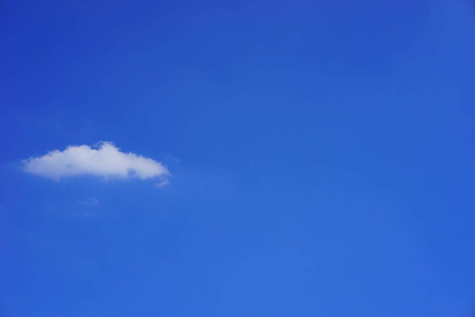 Sony a7 + Sony Sonnar T* FE 55mm F1.8 ZA sample photo. Single cloud, clouds, cumulus photography