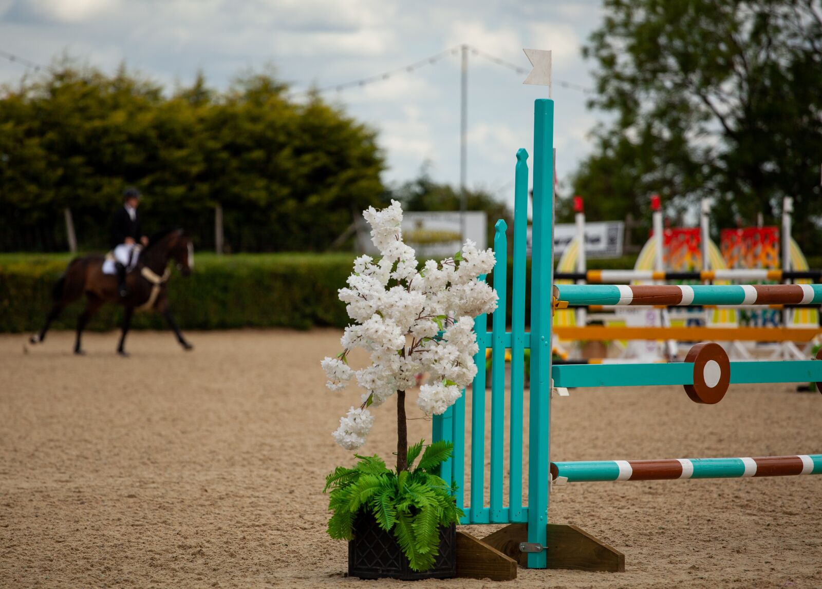 Canon EF 70-200mm F4L USM sample photo. Horse jumping, jumping, equestrian photography