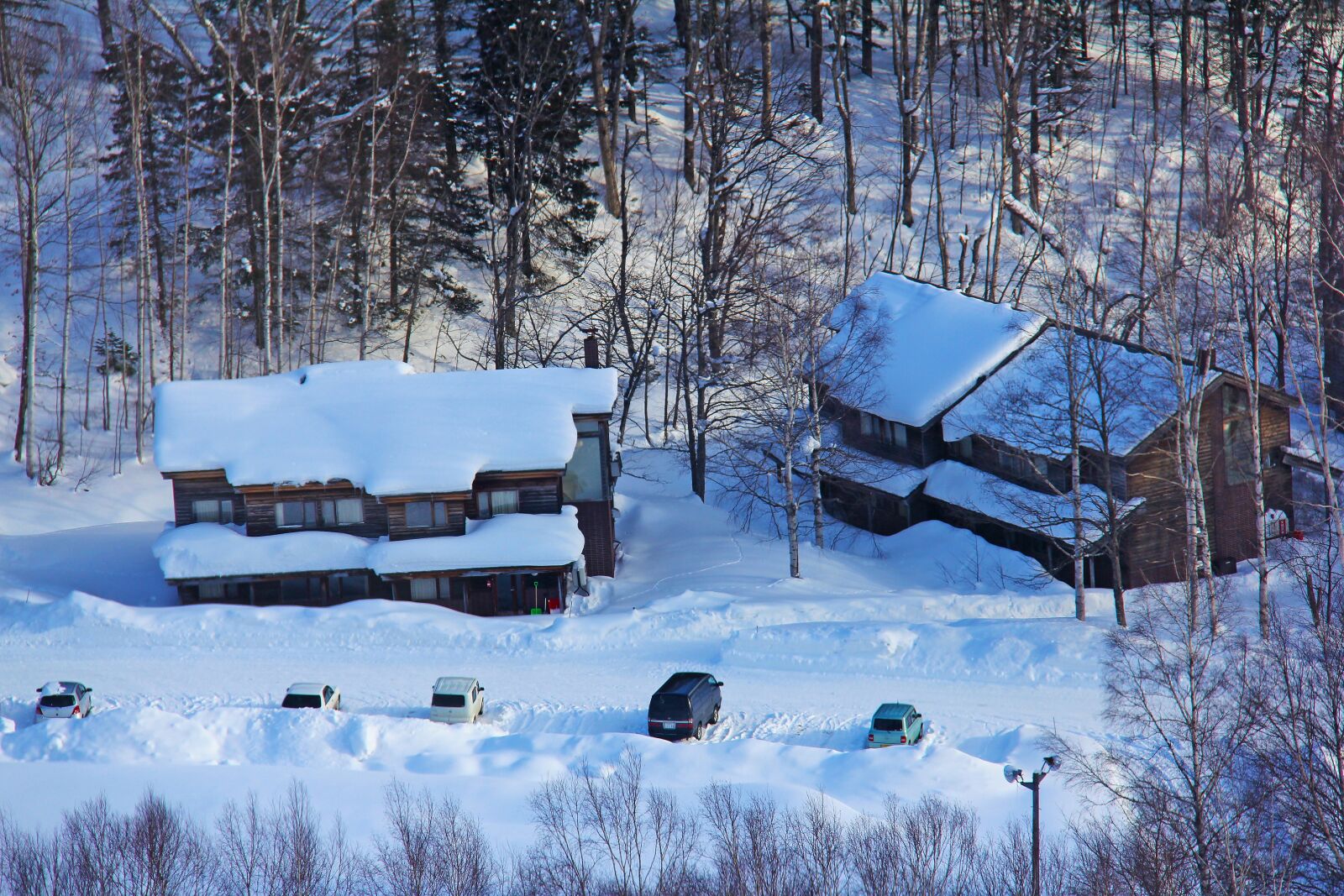 Canon EF-S 18-200mm F3.5-5.6 IS sample photo. Fantastic, wonder, beautiful photography