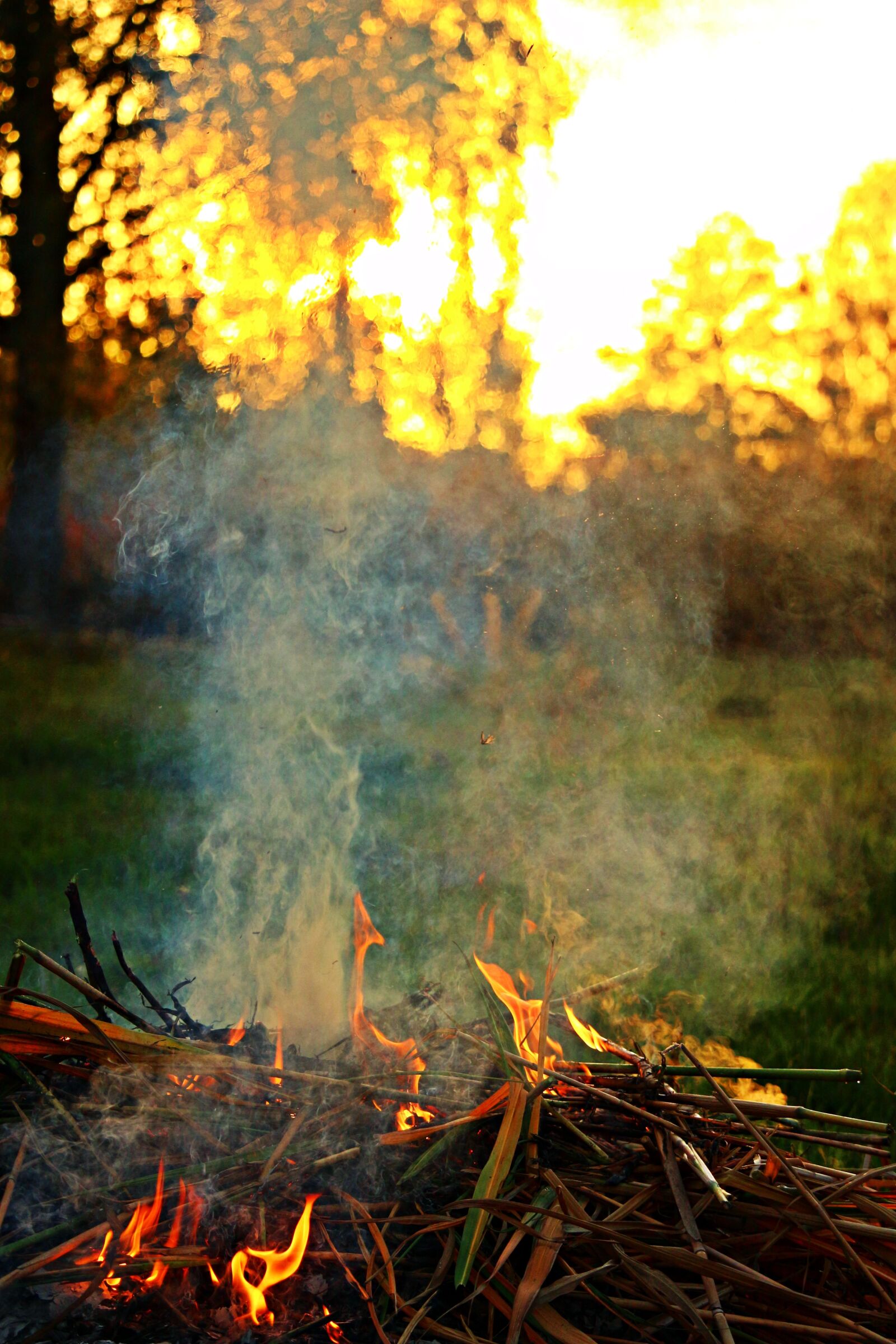 Canon EOS 100D (EOS Rebel SL1 / EOS Kiss X7) sample photo. Fire, smoke, sunset photography