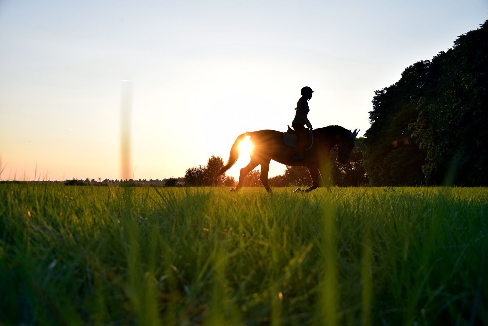 Nikon D3300 sample photo. Ride, sun, horse photography