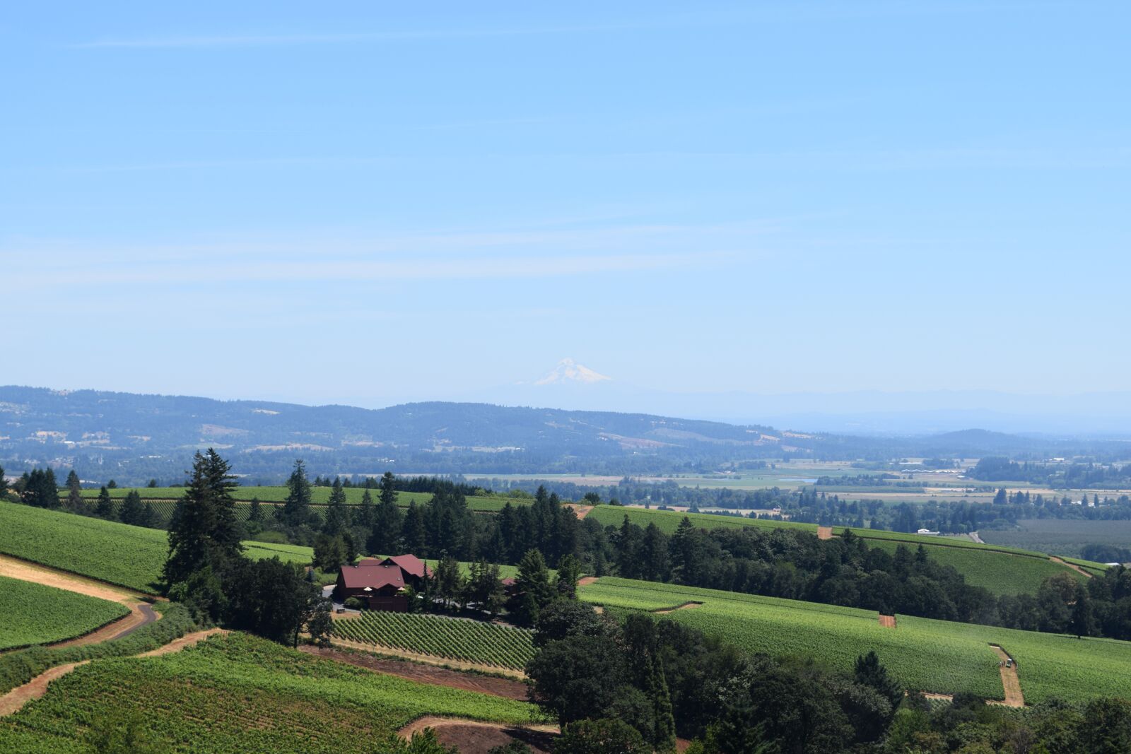 Nikon D3300 sample photo. Wine, vineyard, landscape photography