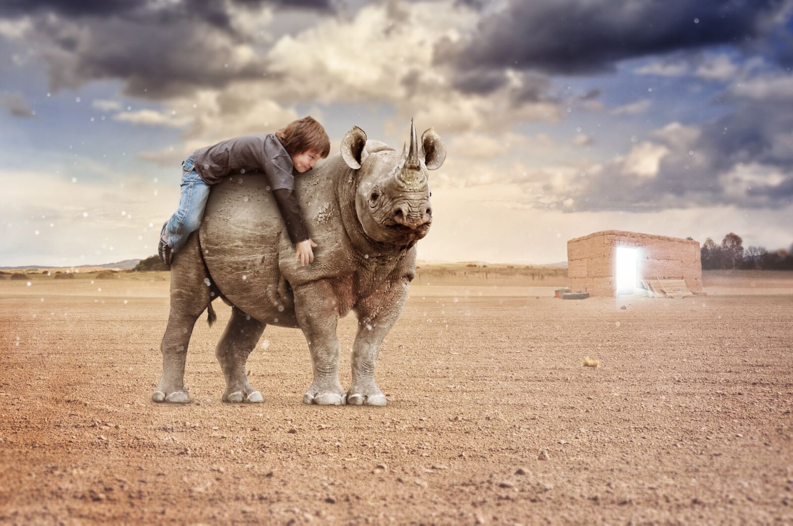 Nikon D5000 sample photo. Rhino, nature, desert photography