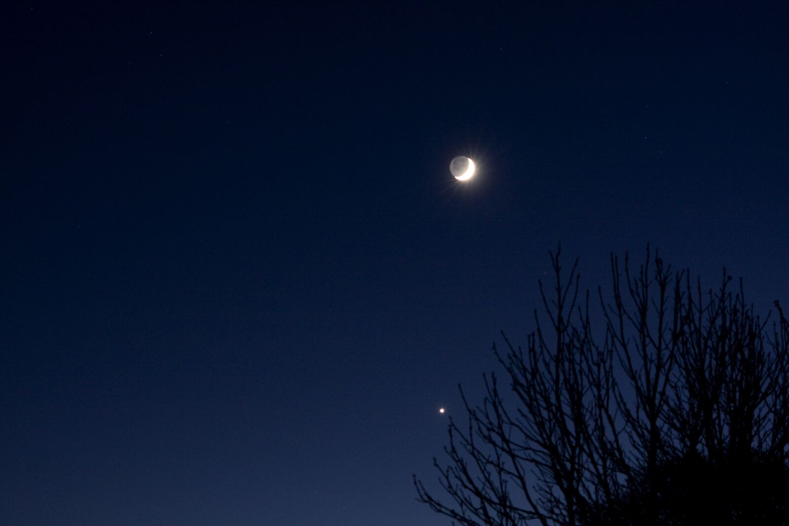 Canon EOS 40D sample photo. Moon, venus, planet photography