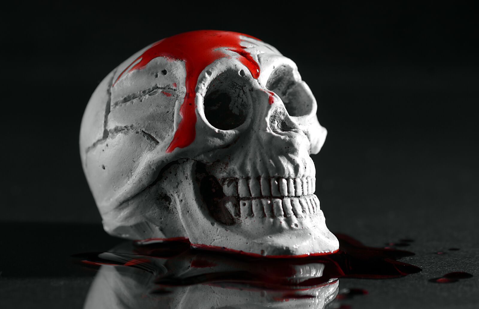 Pentax K-S2 sample photo. Murder, skull, blood photography