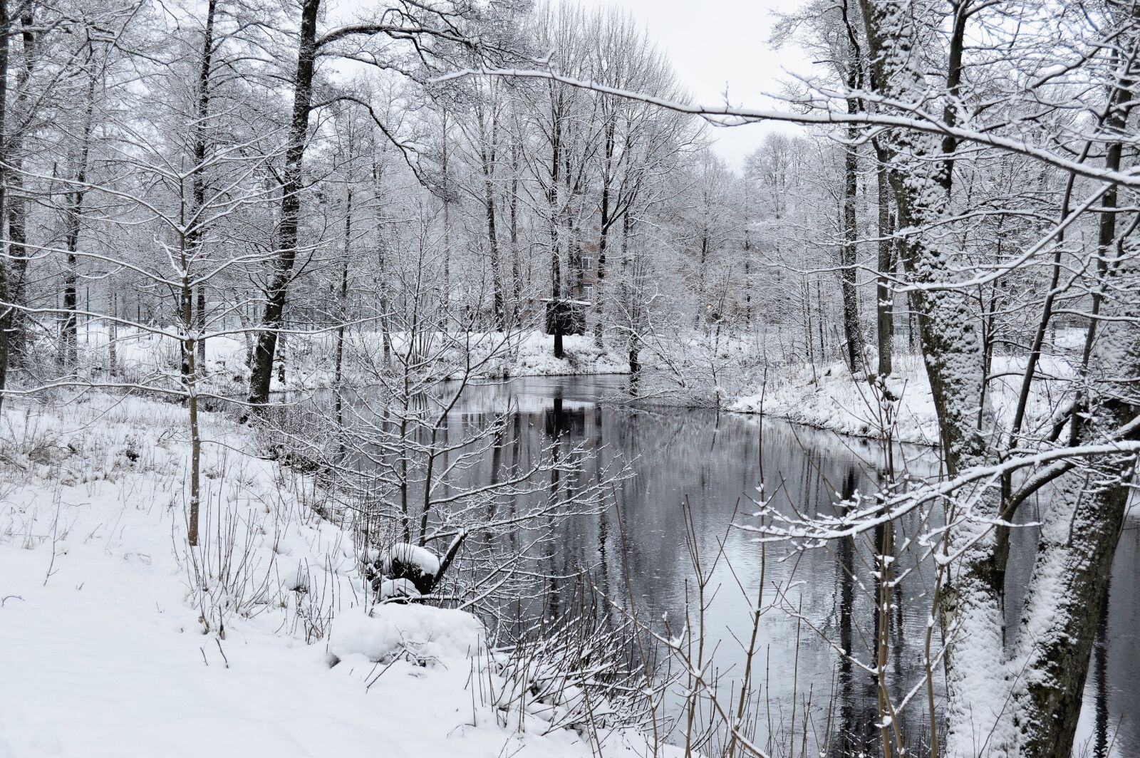 Nikon D3200 sample photo. Winter, snow, frost photography
