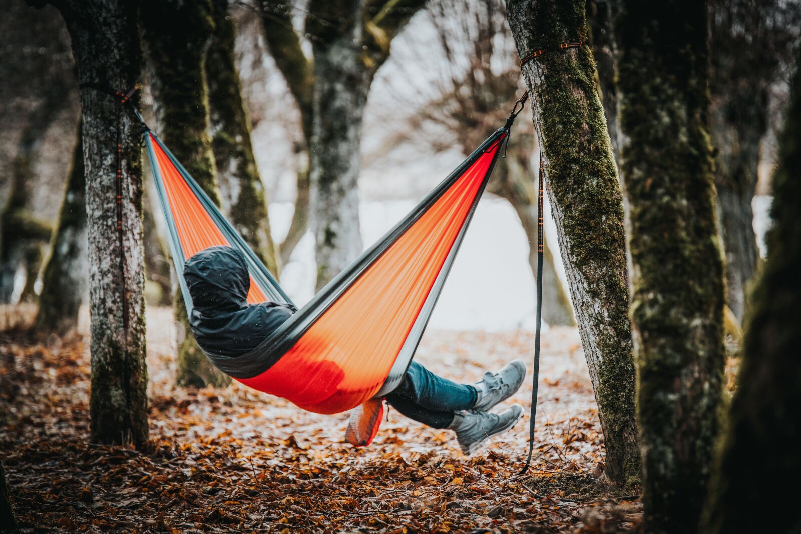 Nikon D750 sample photo. Man, hammock, trees photography