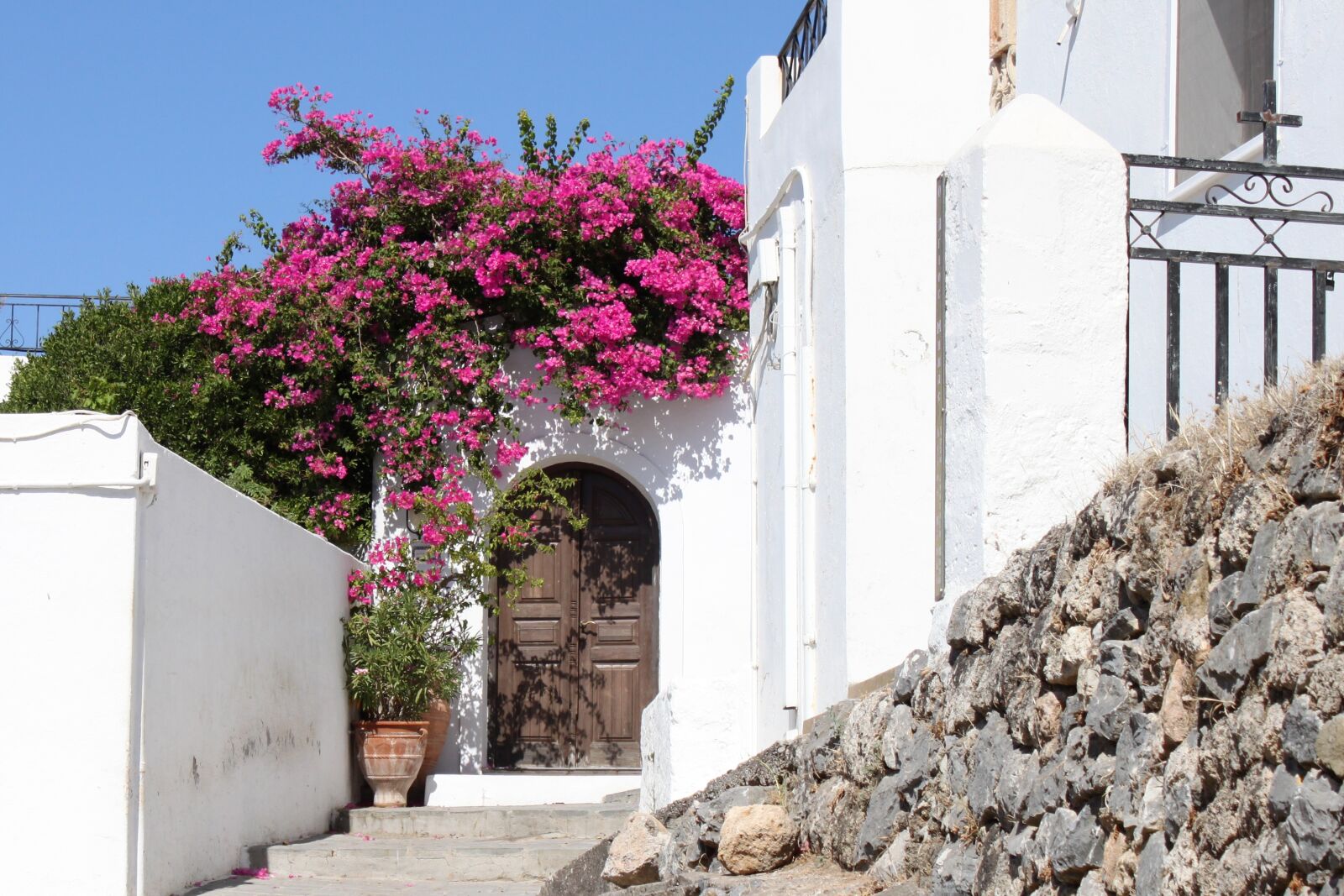 Canon EOS 500D (EOS Rebel T1i / EOS Kiss X3) sample photo. Port, flowers, greece photography