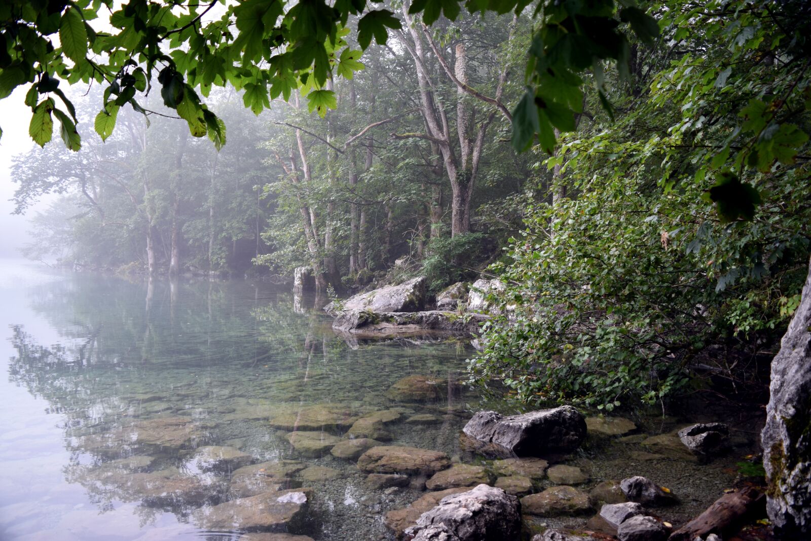 Nikon D5300 sample photo. Lake, forest, fog photography