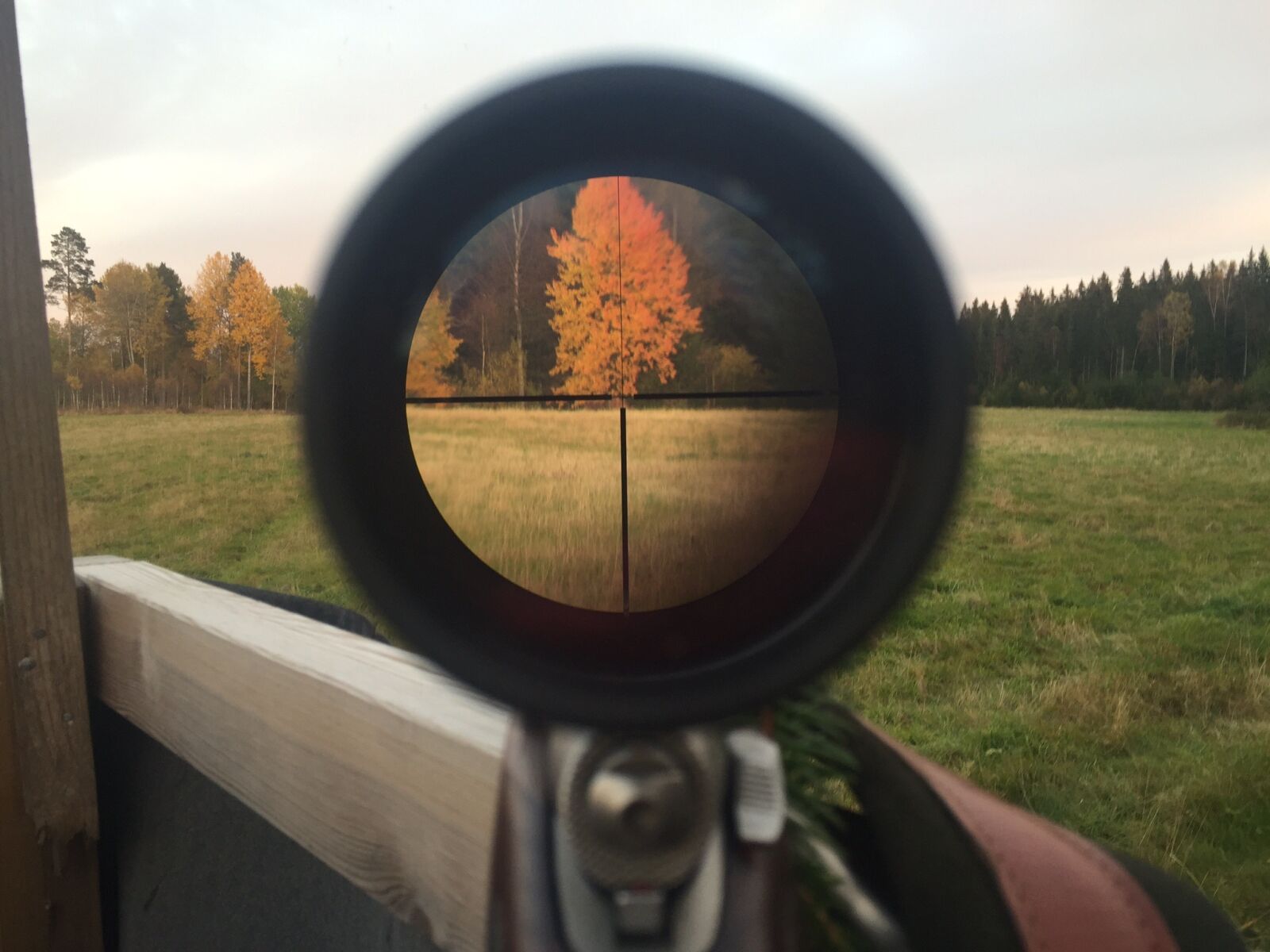 Apple iPhone 6 sample photo. Hunting, autumn, telescopic sight photography