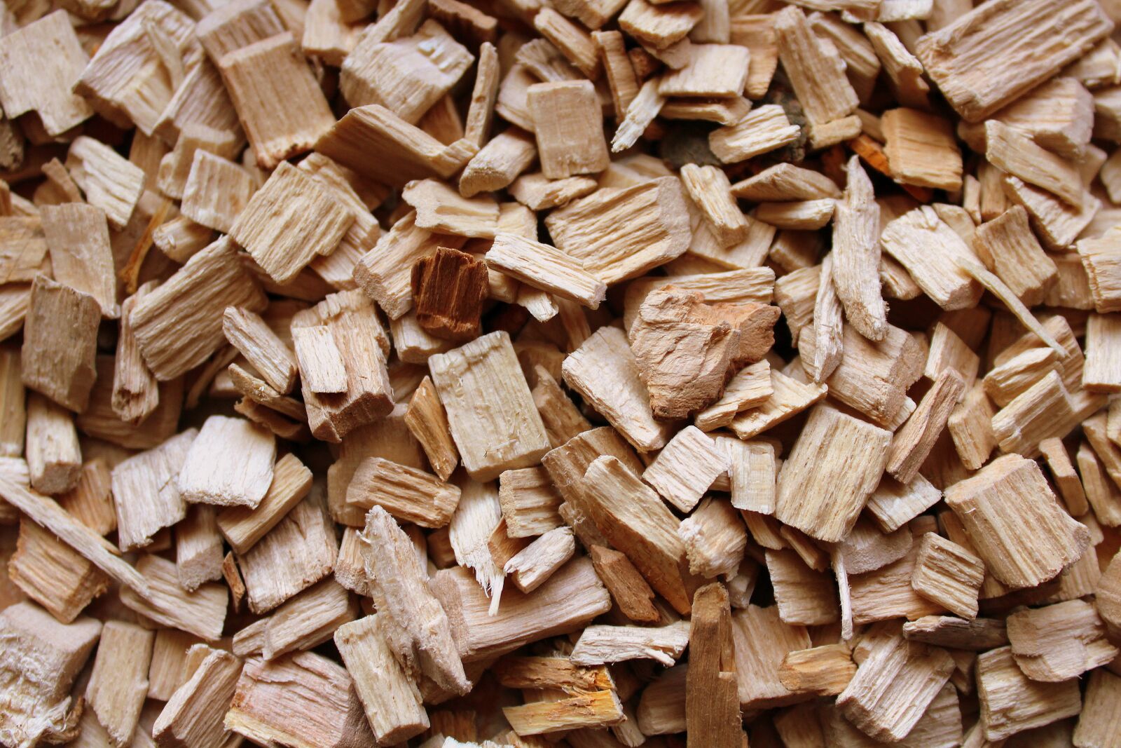 Canon EOS 1200D (EOS Rebel T5 / EOS Kiss X70 / EOS Hi) sample photo. Wood, the bark, the photography