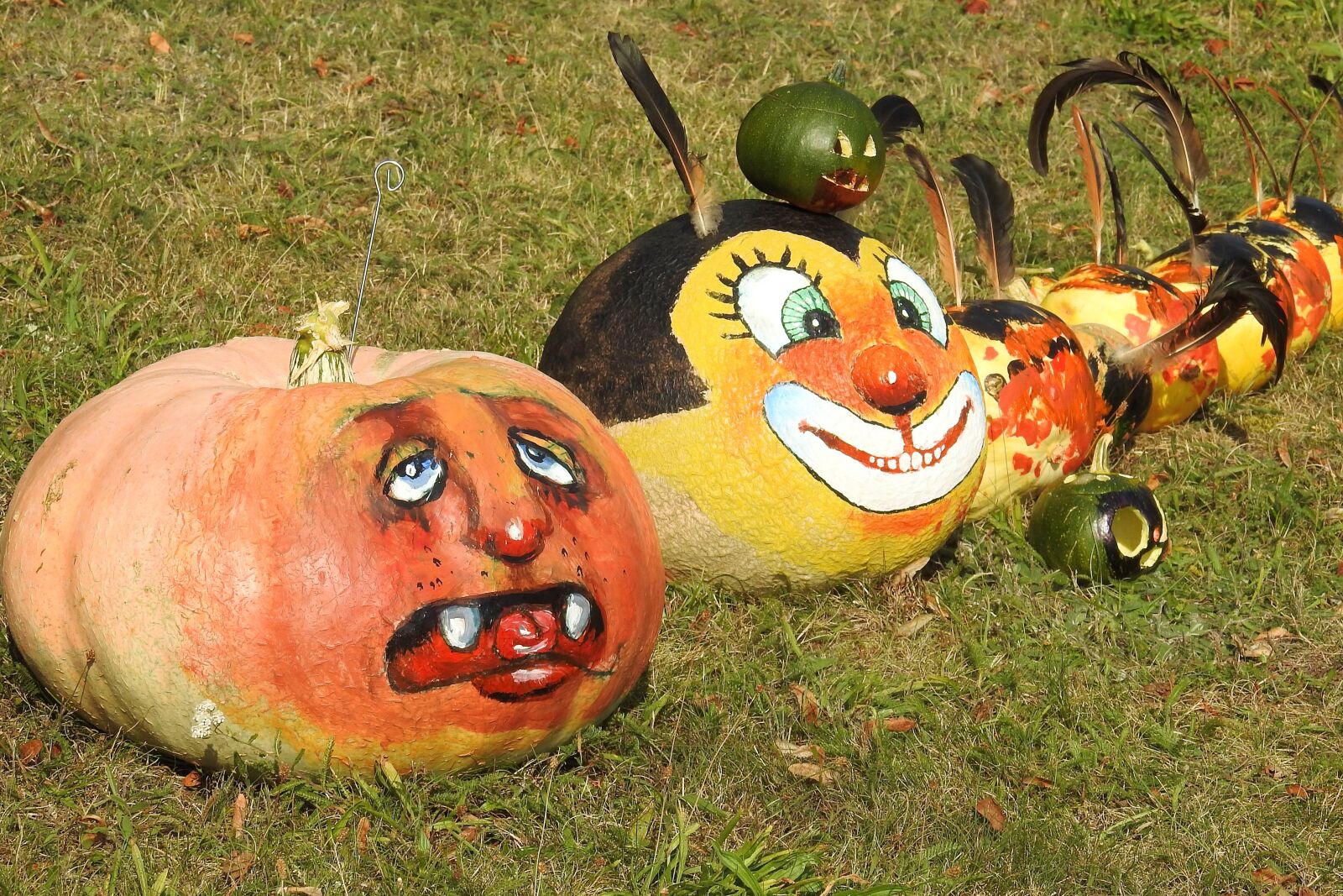 Nikon Coolpix P900 sample photo. Pumpkin, pumpkins, halloween photography