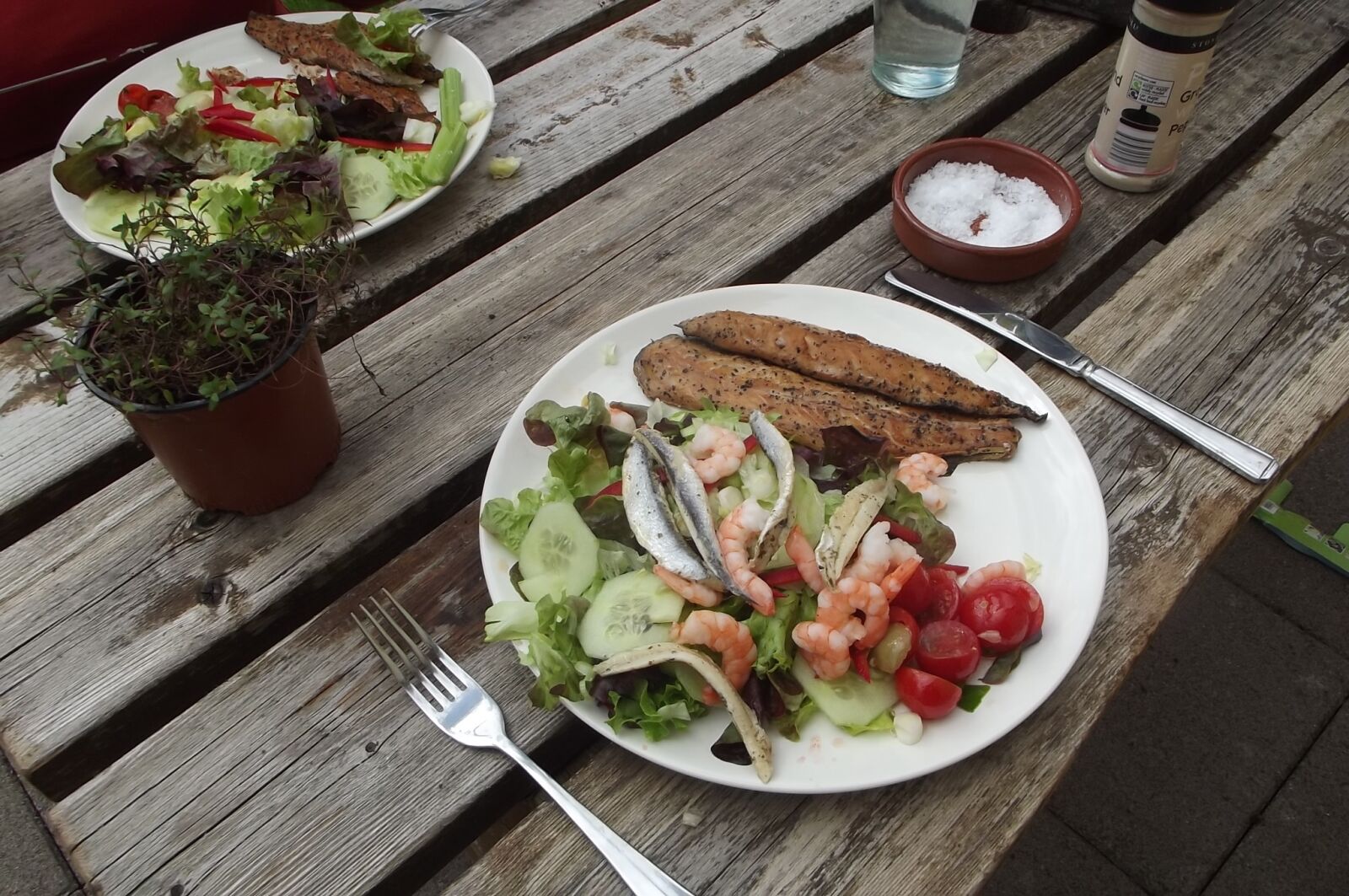 FujiFilm FinePix S2950 (FinePix S2990) sample photo. Sea food salad, alfresco photography