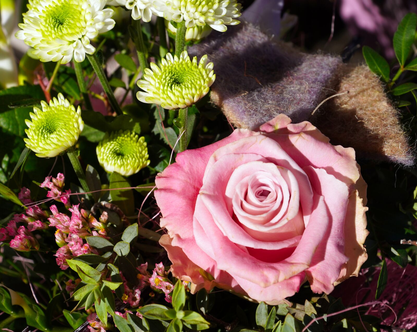 Sony E PZ 18-105mm F4 G OSS sample photo. Rose, flowers, blossom photography