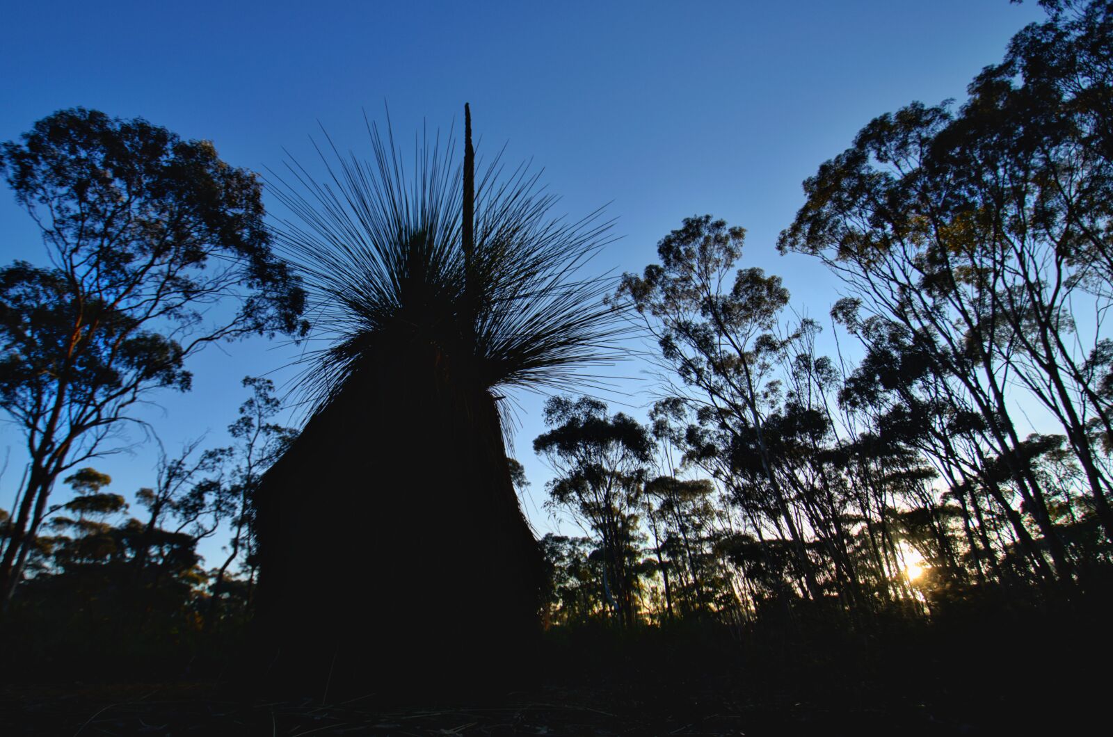 Nikon D3300 sample photo. Sunrise, morning, nature photography