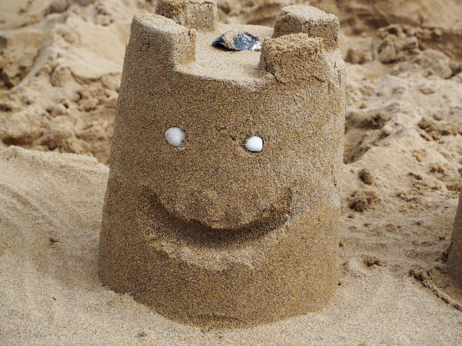 Olympus OM-D E-M10 sample photo. Sand, sandburg, smilie photography
