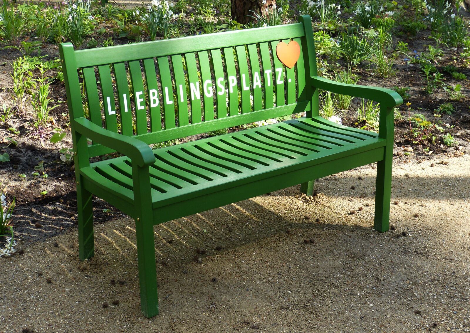 Panasonic Lumix DMC-FZ150 sample photo. Garden, park, bench photography