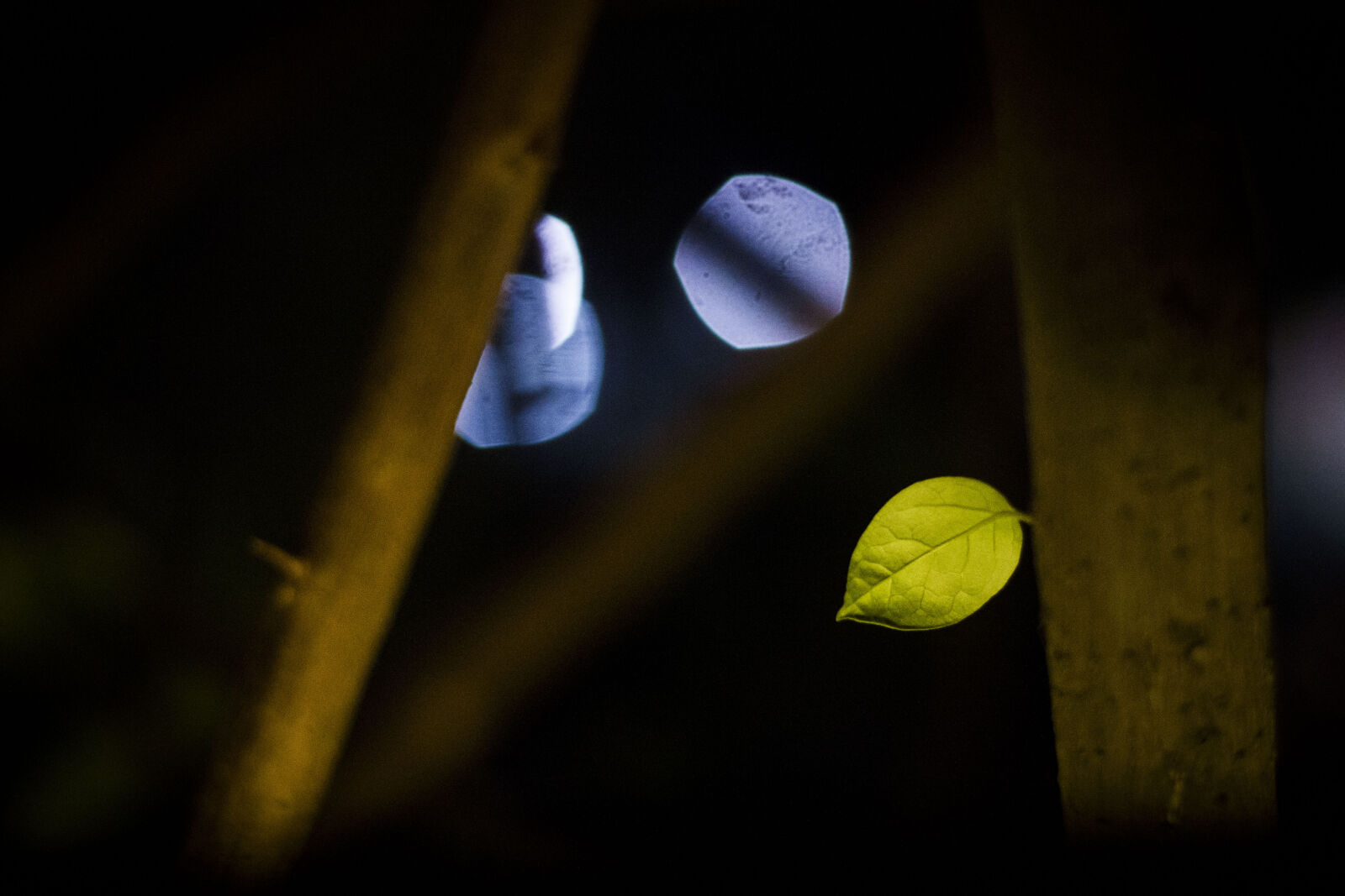 Canon EOS 7D + Canon EF 50mm F1.8 II sample photo. Alone, art, bokeh, city photography