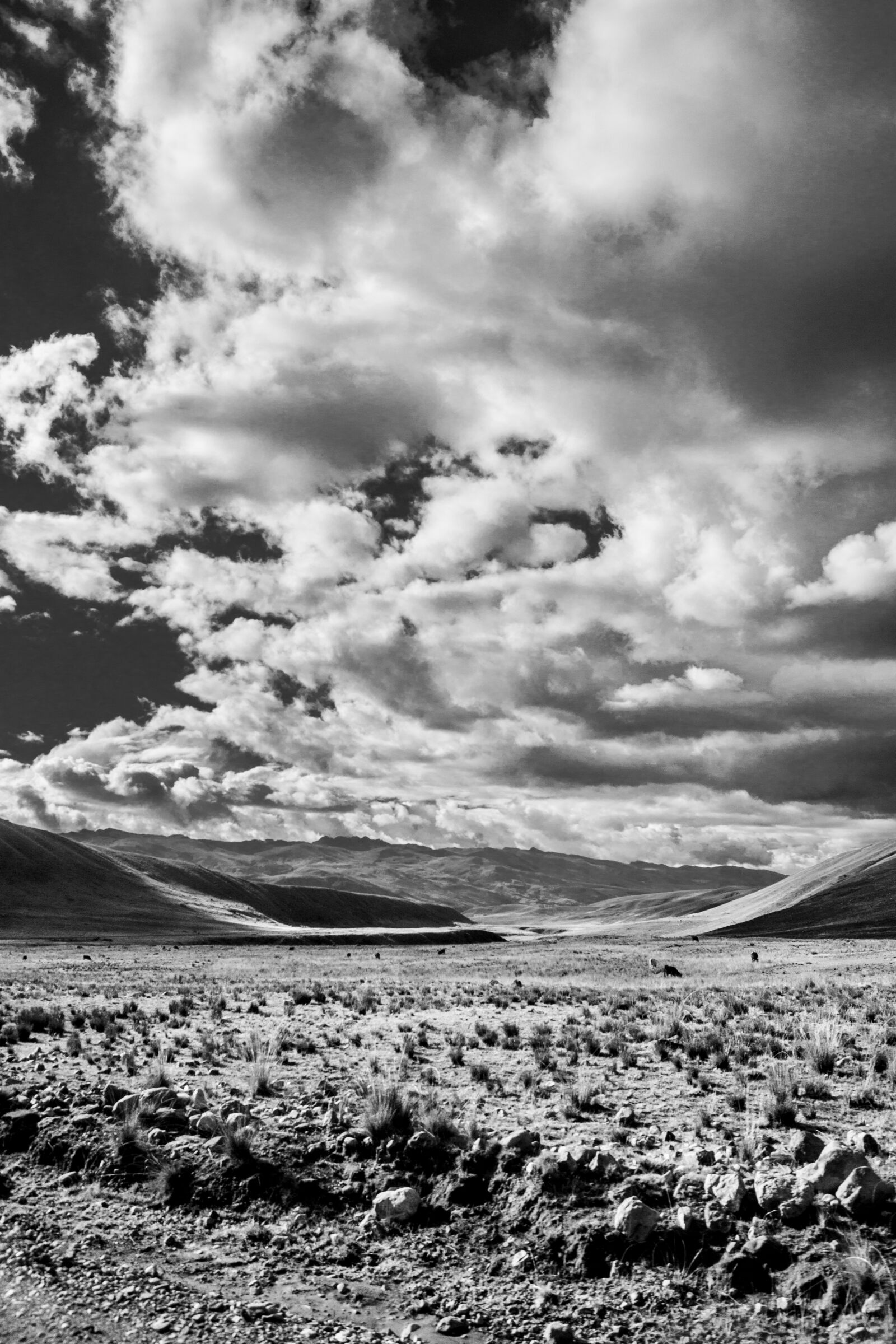 Sony SLT-A65 (SLT-A65V) + Sony DT 18-55mm F3.5-5.6 SAM sample photo. Black, and, white, cloud photography