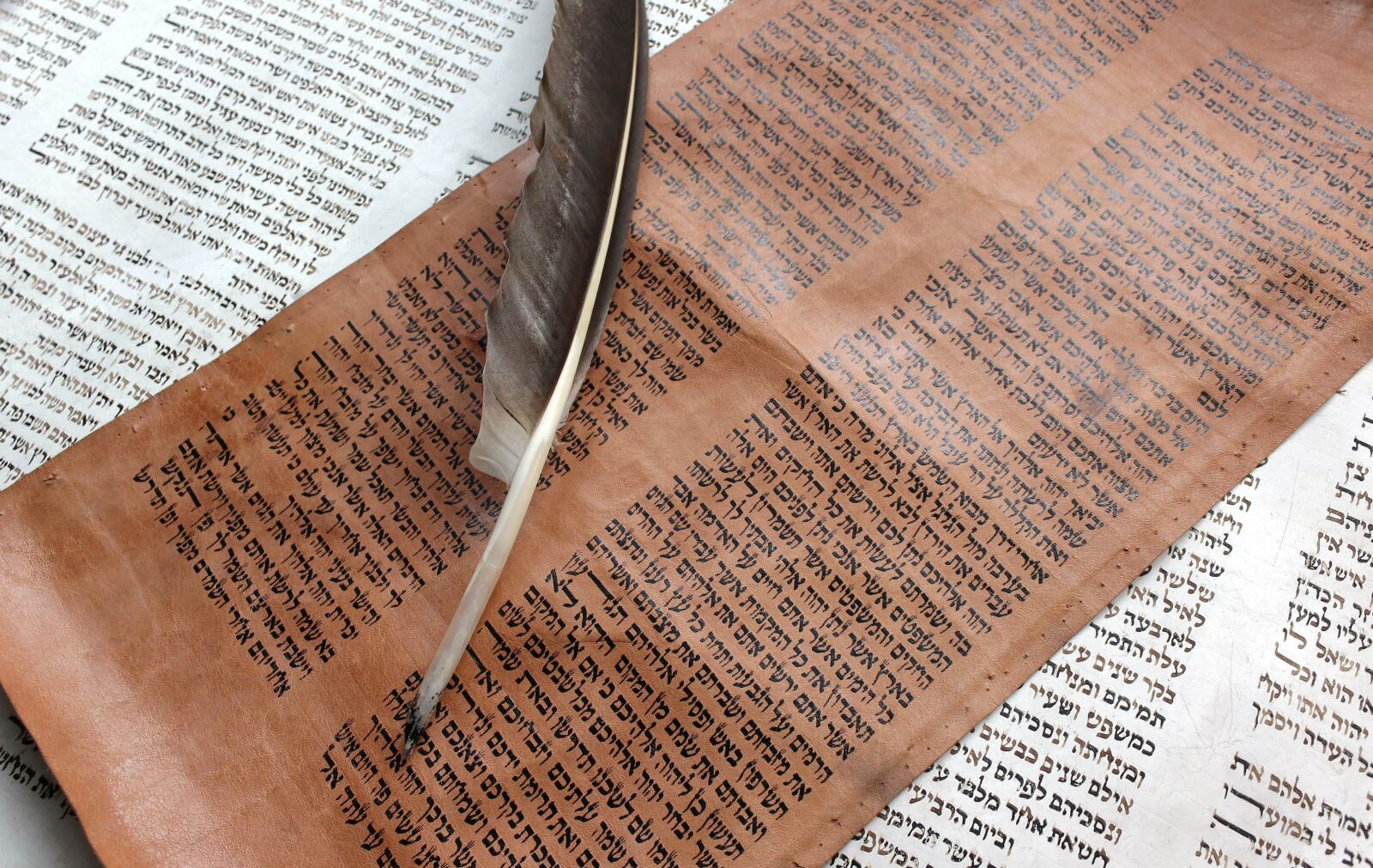 Canon EOS 600D (Rebel EOS T3i / EOS Kiss X5) sample photo. Bible, book, old book photography