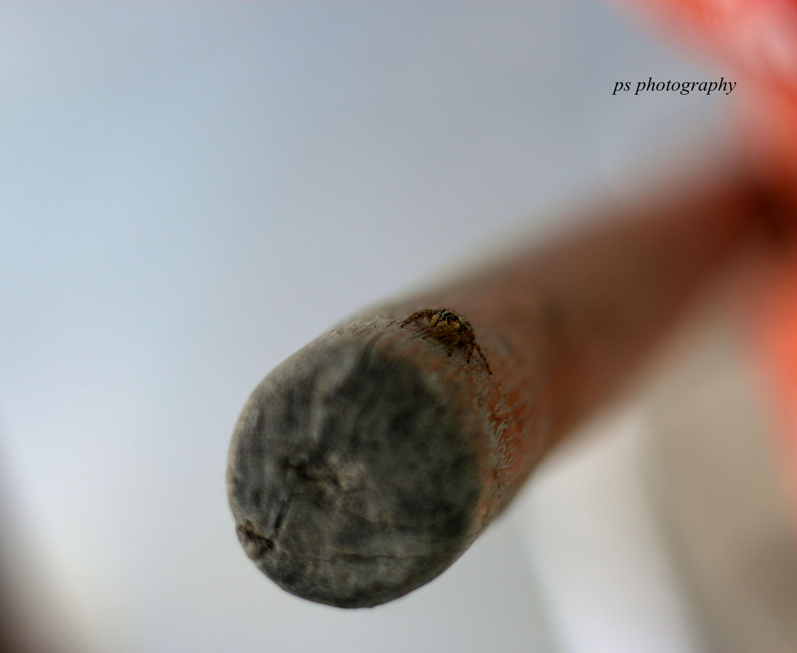 Canon EOS 70D + Canon EF 50mm F1.8 STM sample photo