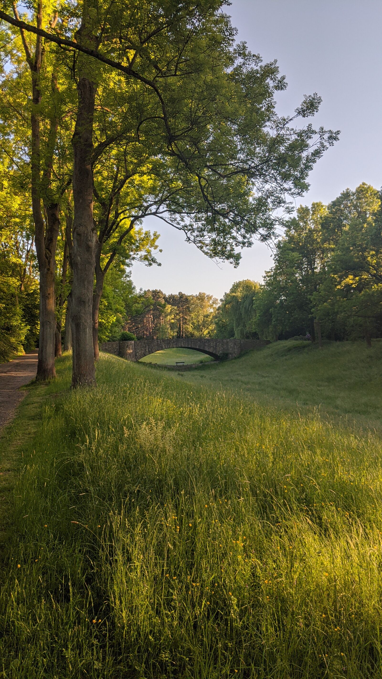 Google Pixel 2 XL sample photo. Bridge, meadow, tree photography