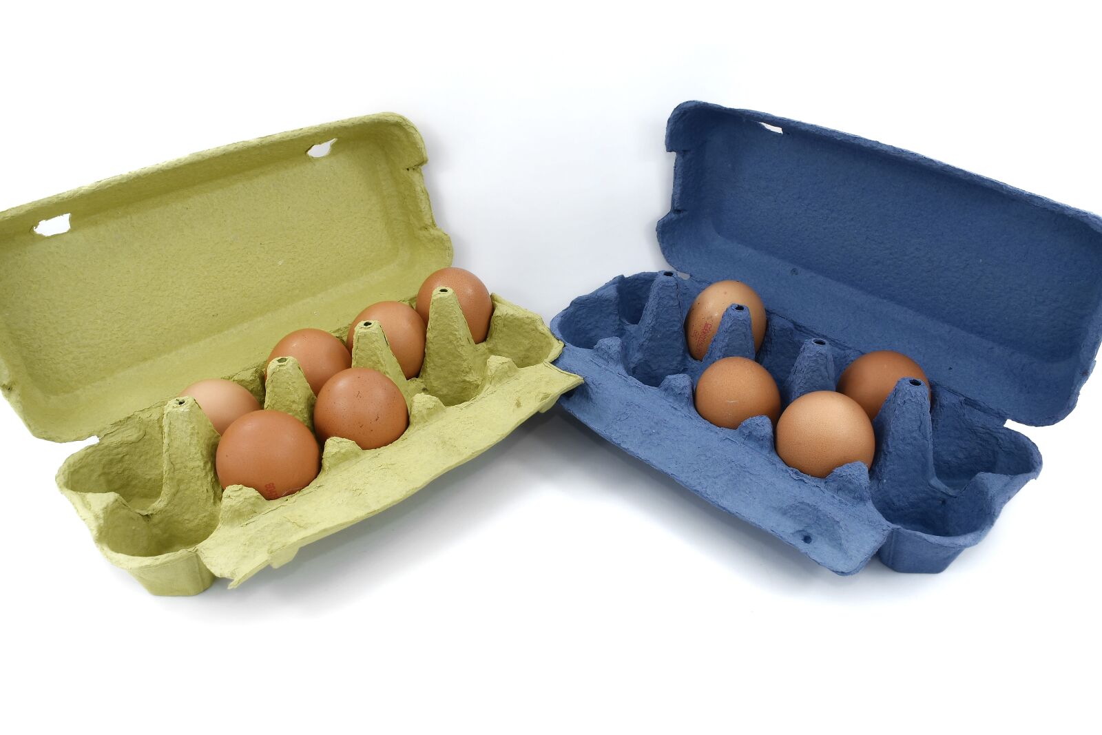 Nikon D5500 sample photo. Blue, box, carton, egg photography