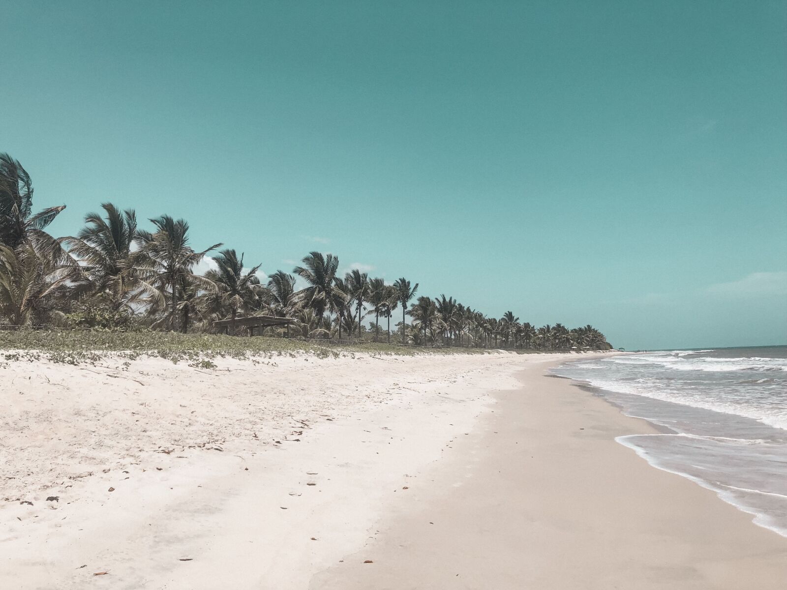 iPhone X back dual camera 4mm f/1.8 sample photo. Mar, praia, bah photography