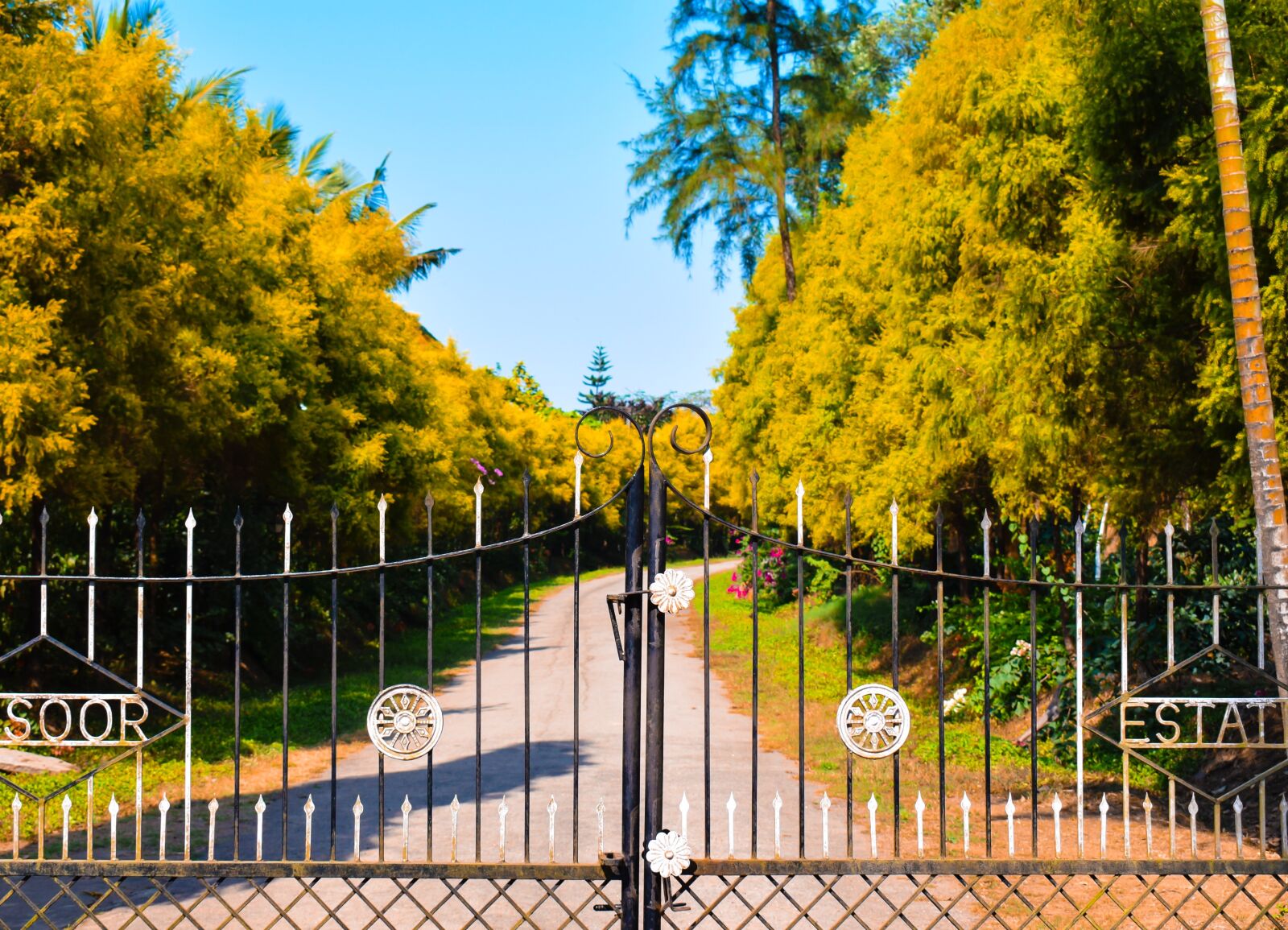 Nikon D3300 sample photo. Door, estate, farm, gate photography