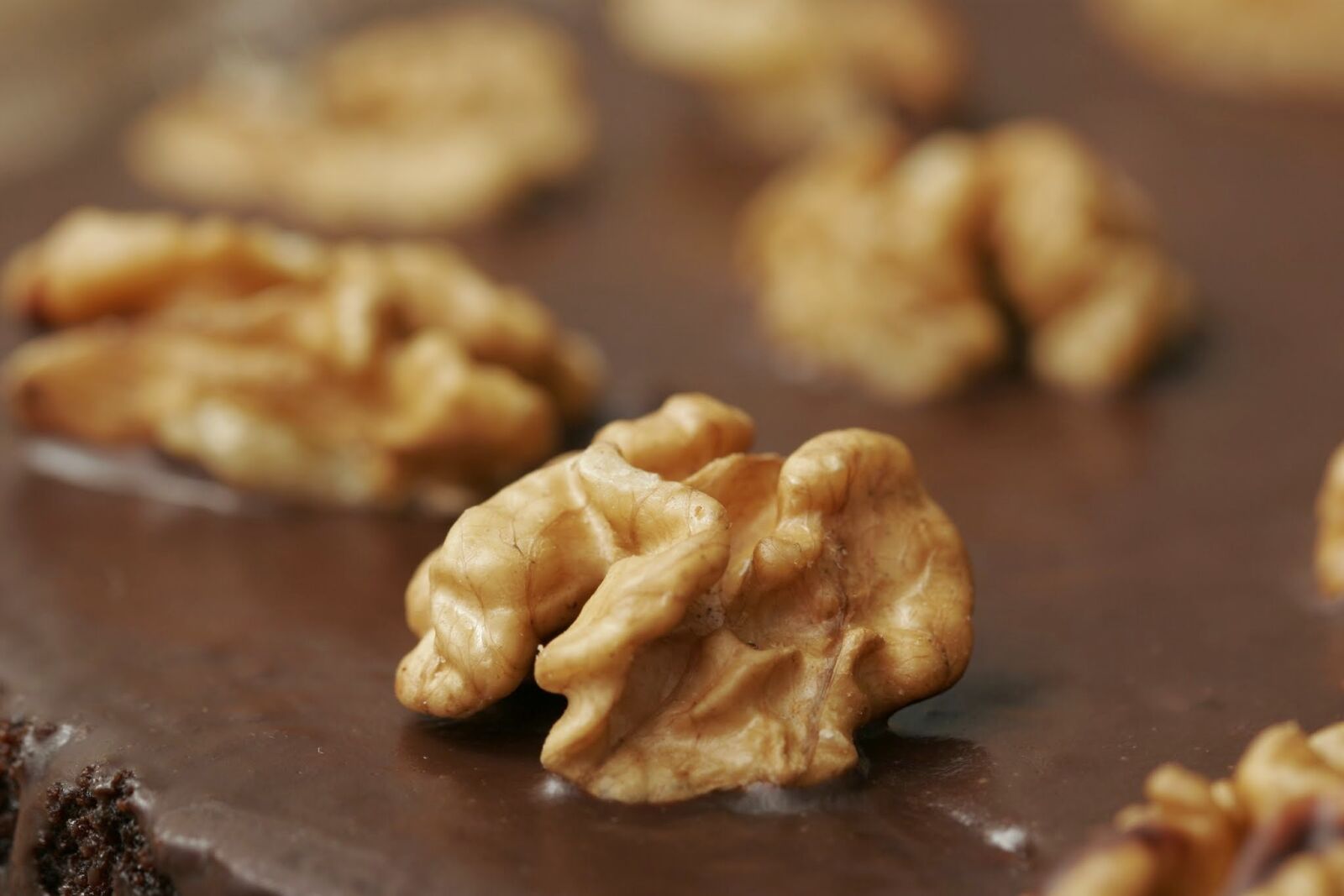 Canon EOS 20D sample photo. Walnut, nuts, chocolate photography
