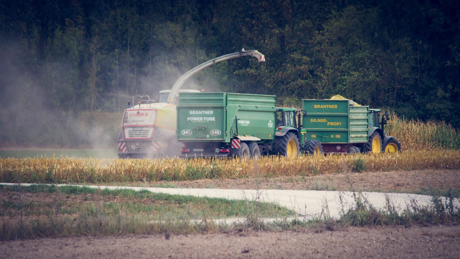 Canon EOS 80D sample photo. Corn harvest, agriculture, harvest photography