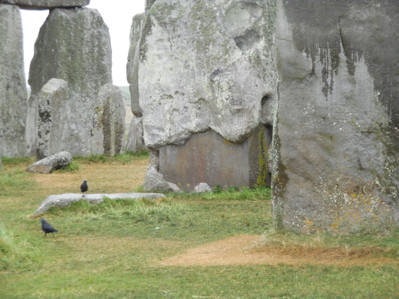 Samsung WB35F/WB36F/WB37F sample photo. Druids, england, salisbury, standing photography