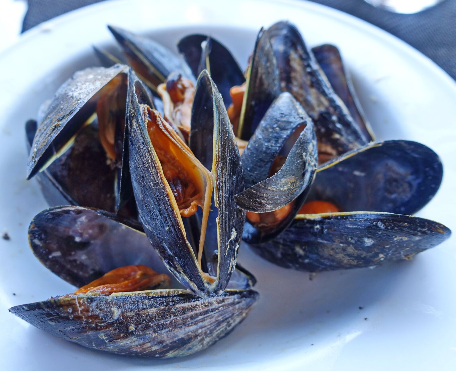 Sony Cyber-shot DSC-RX100 IV sample photo. Mussels, steamed, seafood photography