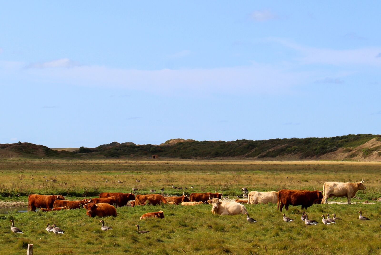 Canon EOS 700D (EOS Rebel T5i / EOS Kiss X7i) sample photo. Landscape, langeoog, nature photography
