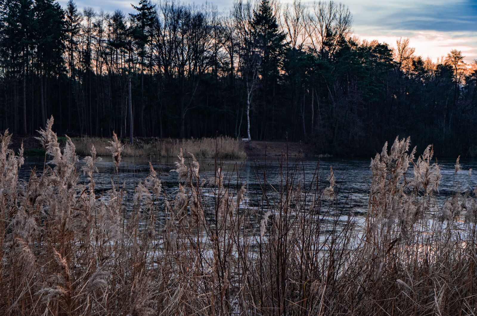 Sony a7 II + Sony FE 28-70mm F3.5-5.6 OSS sample photo. Landscape, ice, holland photography