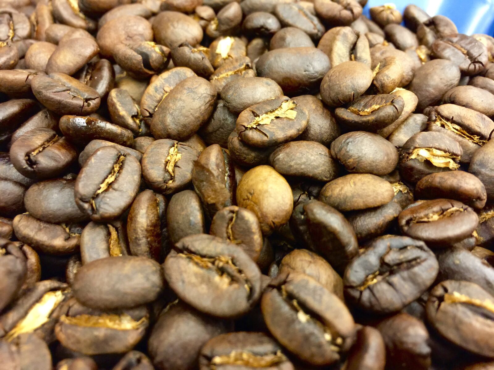 iPhone 6 Plus back camera 4.15mm f/2.2 sample photo. Coffee, baking, coffee beans photography
