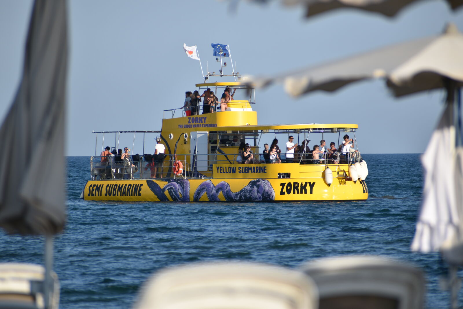 Nikon D5600 sample photo