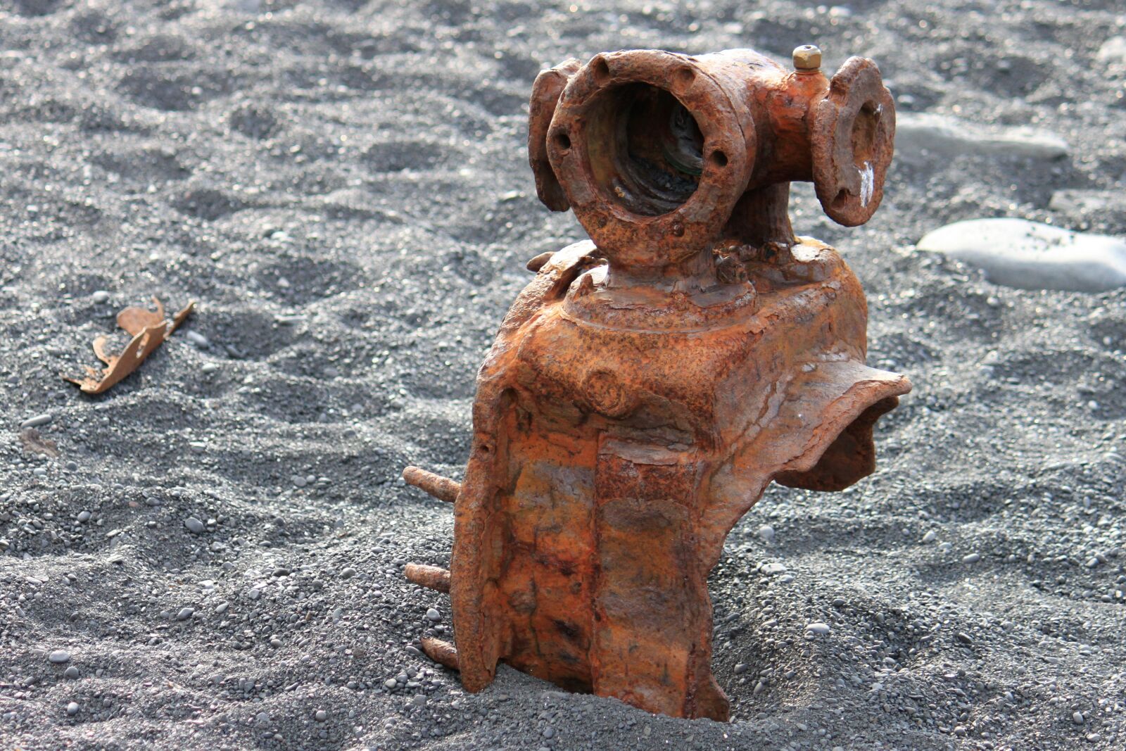Canon EOS 500D (EOS Rebel T1i / EOS Kiss X3) sample photo. Wreck, beach, rust photography