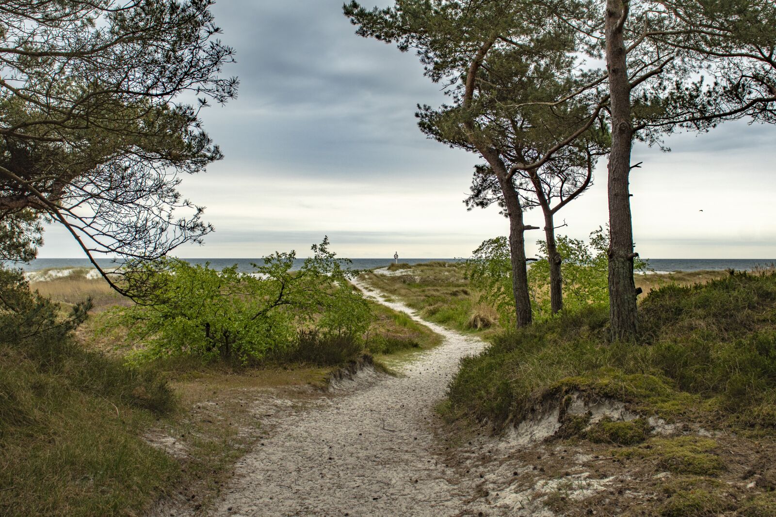 Nikon D500 sample photo. Beach, baltic sea, coast photography