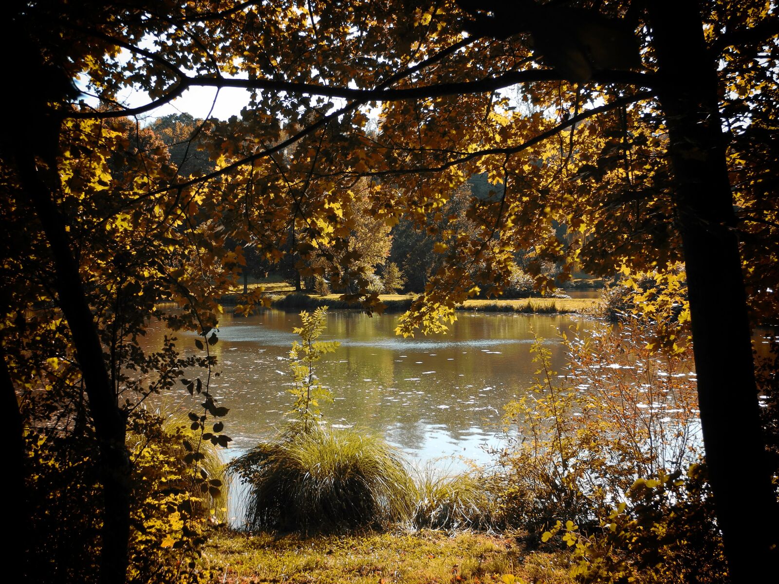 Nikon Coolpix P7100 sample photo. Autumn, lake, nature photography