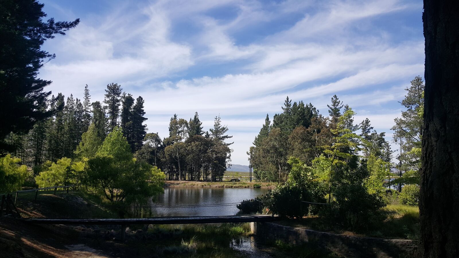 Samsung Galaxy S6 sample photo. Trees, clouds, water photography