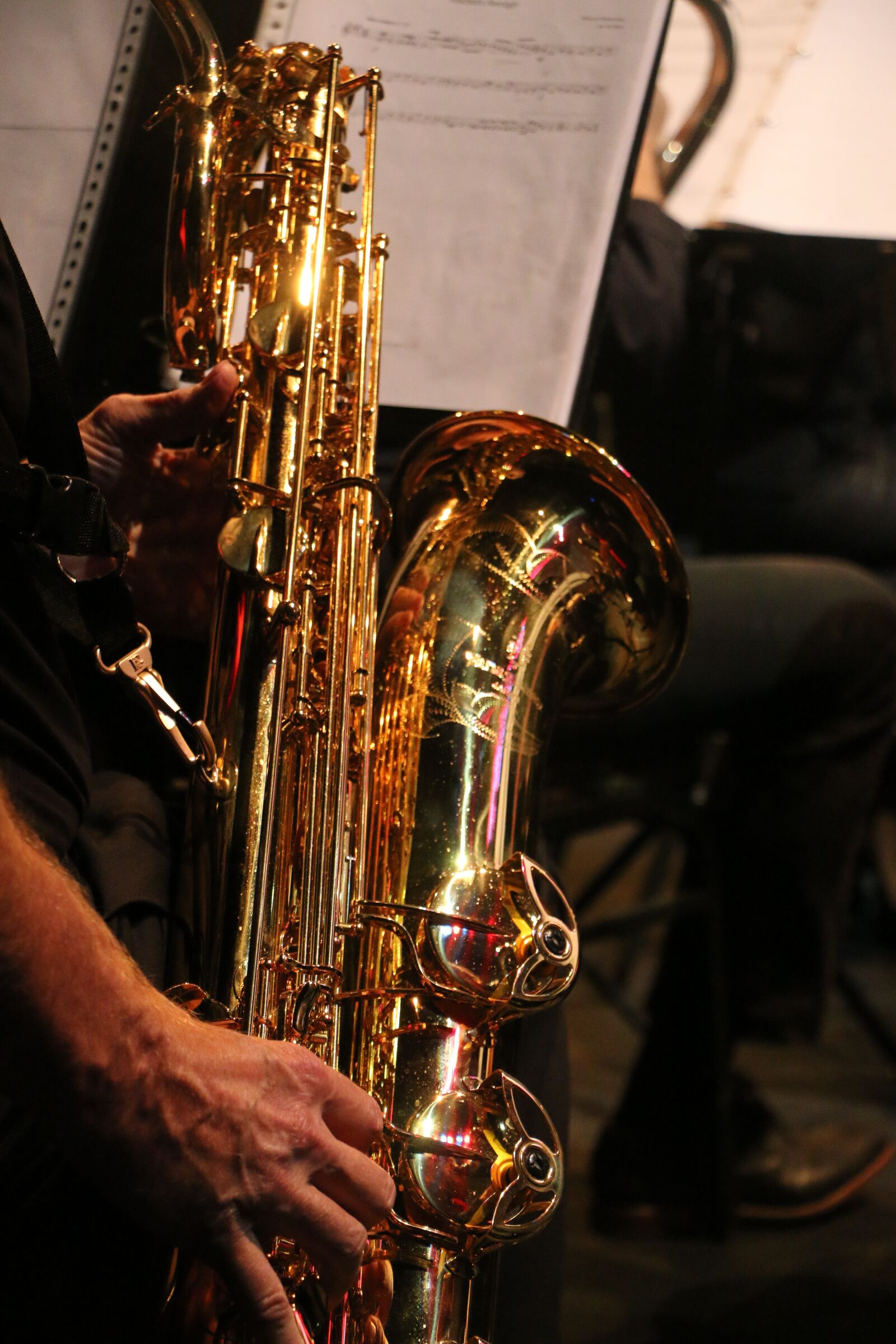 Canon EOS 70D sample photo. Musical instrument, orchestra, music photography