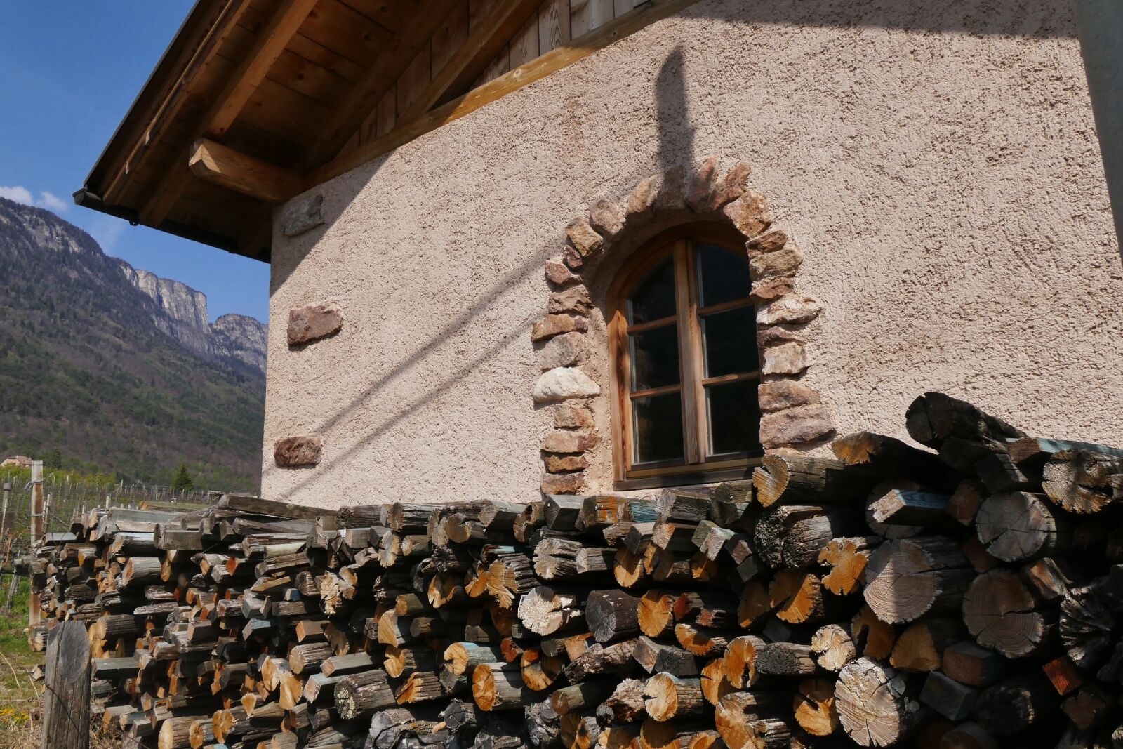 Panasonic Lumix DMC-FZ1000 sample photo. Protection house, holzstapel, pile photography